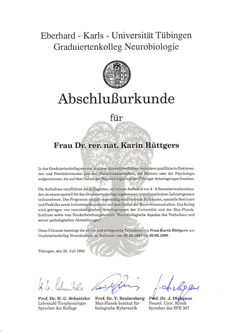 image (3)